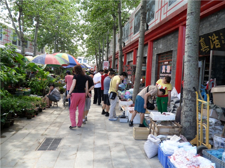 北京花鳥魚蟲市場