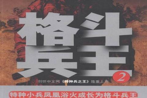 格鬥兵:2 格鬥兵:2