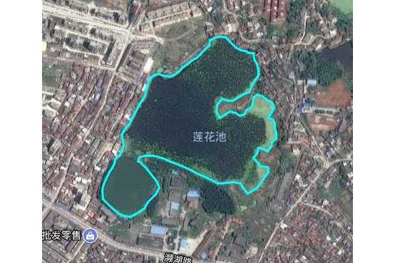 蓮花池湖 蓮花池湖