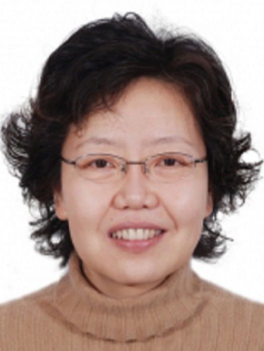 傅松(山東大學能源動力與工程學院副教授) 傅松(山東大學能源動力與工程學院副教授)