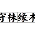 守株緣木 守株緣木
