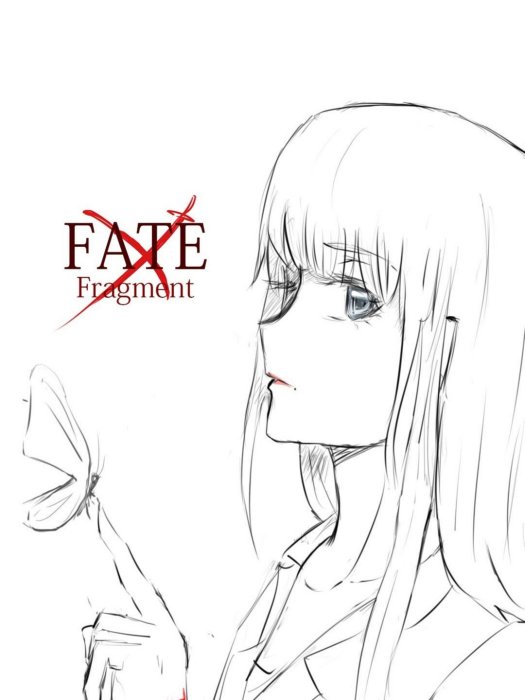 Fate/Fragment Fate/Fragment
