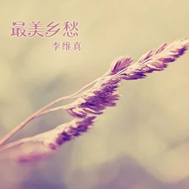 最美鄉愁(李維真演唱的歌曲) 最美鄉愁(李維真演唱的歌曲)