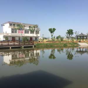 羅塘鎮