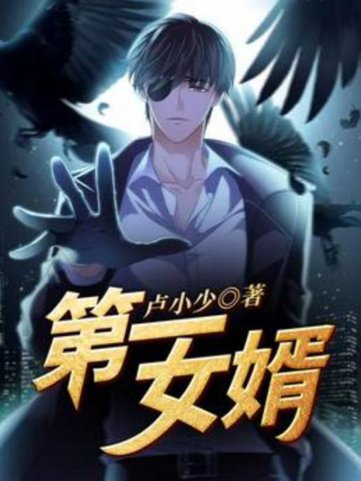 第一女婿(盧小少所著小說) 第一女婿(盧小少所著小說)