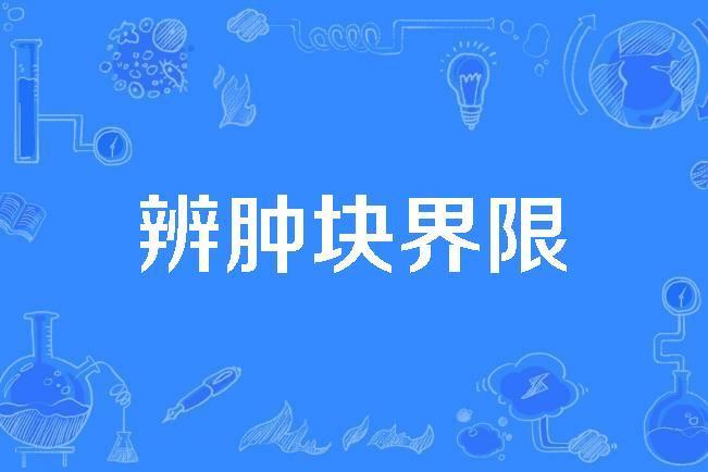 辨腫塊界限 辨腫塊界限