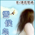 遺忘夢境 遺忘夢境