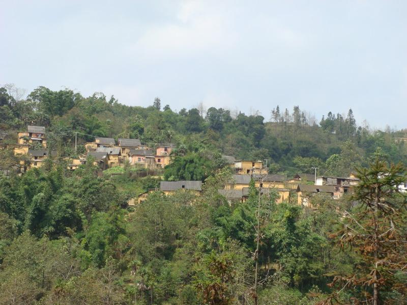 坡頭新寨村 坡頭新寨村