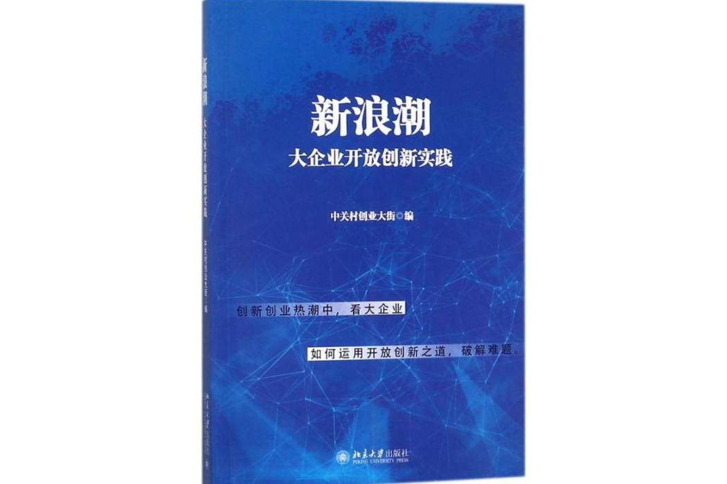 新浪潮(2018年北京大學出版社出版的圖書)