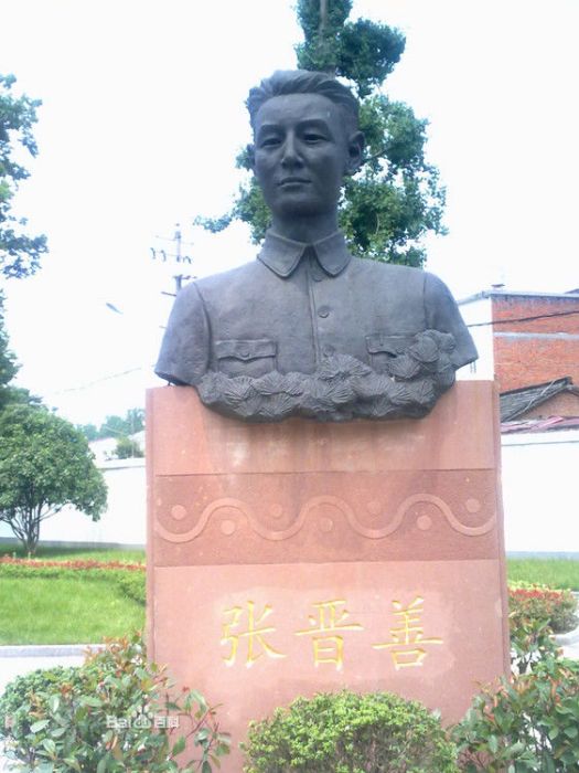 張晉善 張晉善