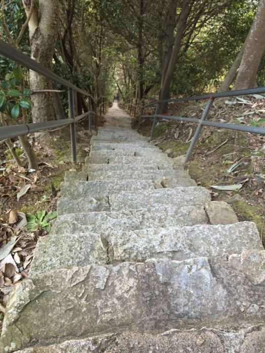 下山井窯群 下山井窯群
