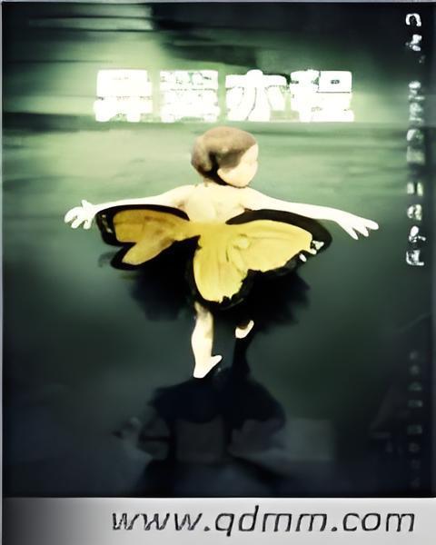 異翼亦程 異翼亦程