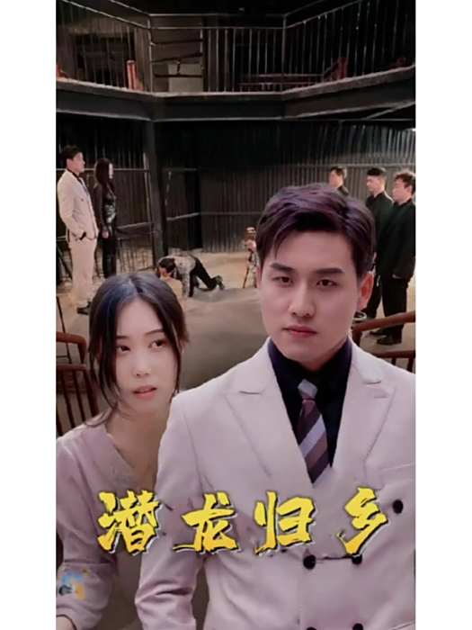 潛龍歸鄉 潛龍歸鄉
