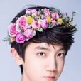 李天澤(演員、歌手) 李天澤(演員、歌手)