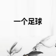 一個足球 一個足球