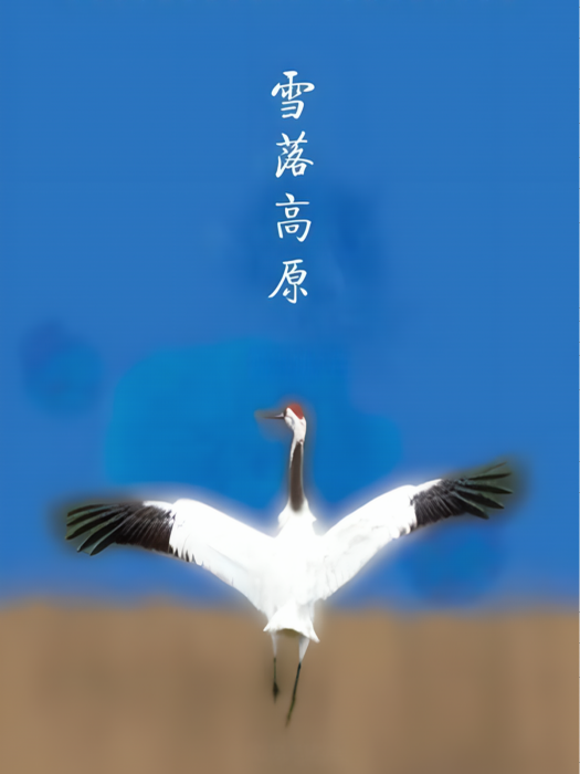 雪落高原