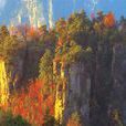 砂岩峰林景觀 砂岩峰林景觀