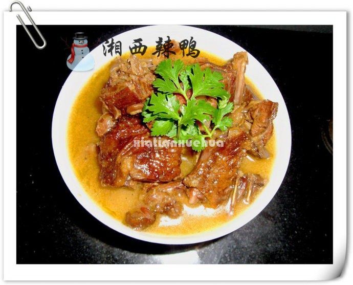 湘西辣鴨 湘西辣鴨