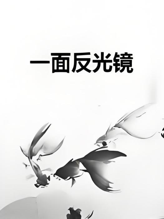 一面反光鏡 一面反光鏡