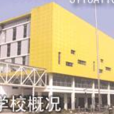 育英二外 育英二外