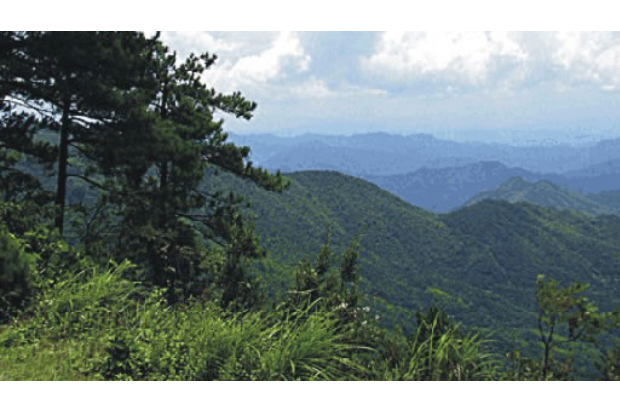 張魯城遺址 張魯城遺址
