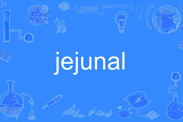 jejunal jejunal