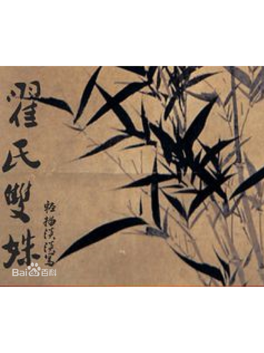 翟氏雙姝 翟氏雙姝