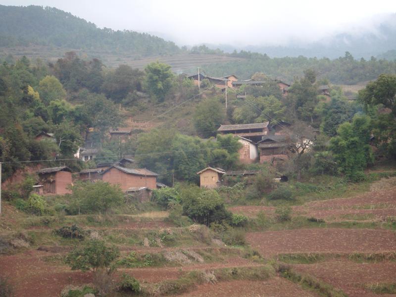 清文村 清文村
