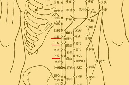 下脘穴 下脘穴