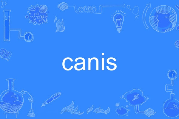 canis canis