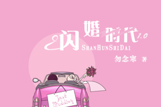 閃婚時代1.0 閃婚時代1.0