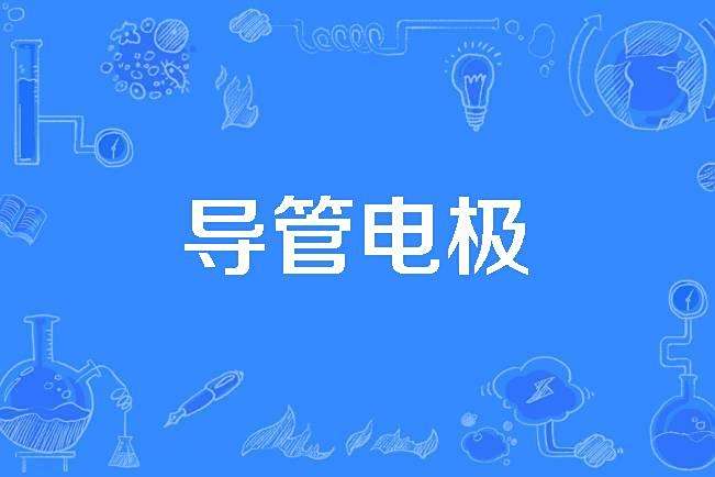 導管電極 導管電極