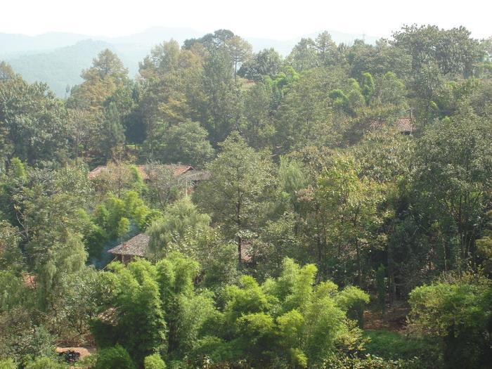 虎家坪村 虎家坪村