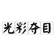 光彩奪目(光采奪目) 光彩奪目(光采奪目)