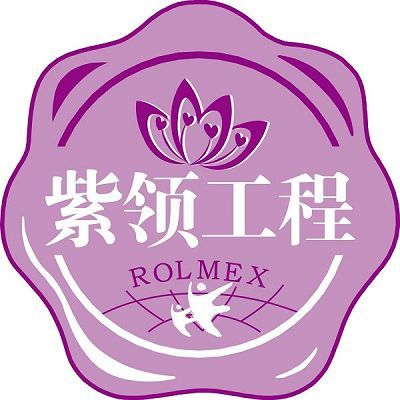 紫領(既能動手,又能動腦的職場明星) 紫領(既能動手,又能動腦的職場明星)