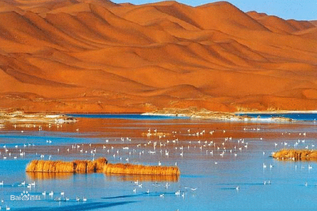 帶狀湖 帶狀湖