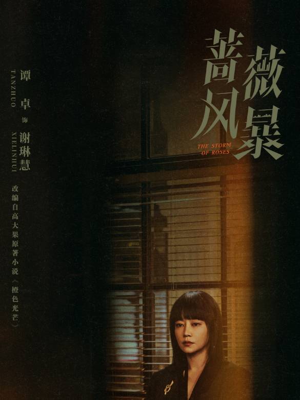 薔薇風暴(2024年惠楷棟執導的職場劇)