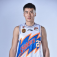翟逸 翟逸