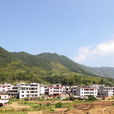 小關村(山西省原平市崞陽鎮下轄村) 小關村(山西省原平市崞陽鎮下轄村)