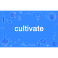 cultivate cultivate