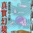 真實幻境 真實幻境