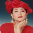 可愛的陌生人(鳳飛飛演唱歌曲) 可愛的陌生人(鳳飛飛演唱歌曲)
