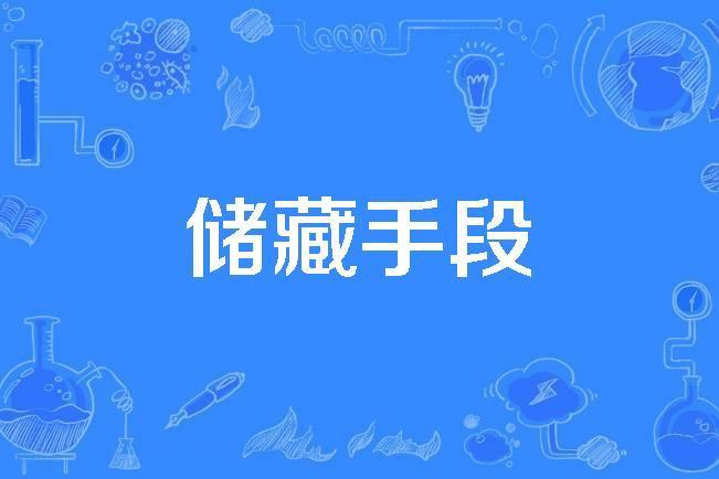 儲藏手段 儲藏手段