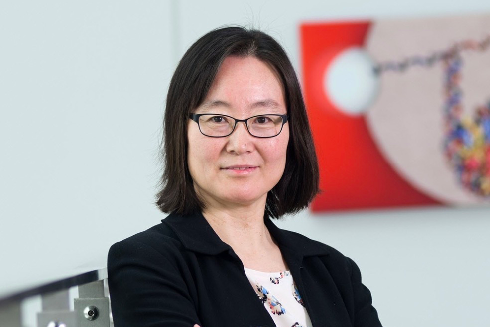 王冬(美國國家科學院院士,康奈爾大學教授,霍華德·休斯醫學研究所研究員) 王冬(美國國家科學院院士,康奈爾大學教授,霍華德·休斯醫學研究所研究員)