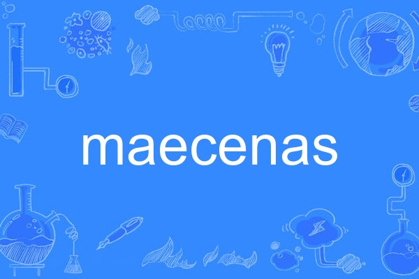 maecenas maecenas