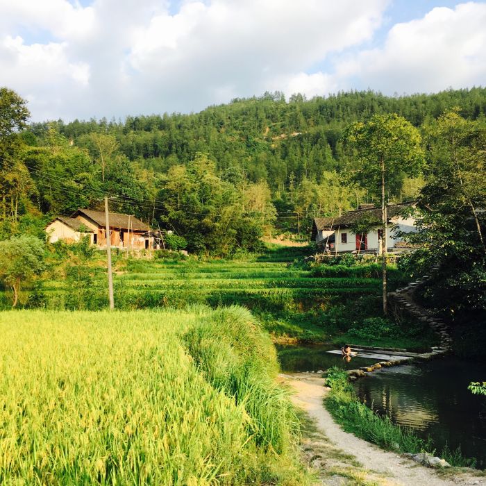 臥壩村 臥壩村