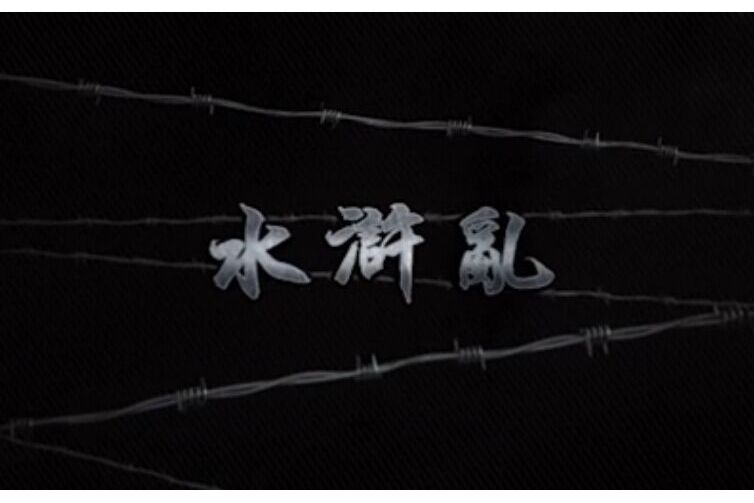 水滸亂(2015年驚弦視頻出品的電視劇) 水滸亂(2015年驚弦視頻出品的電視劇)