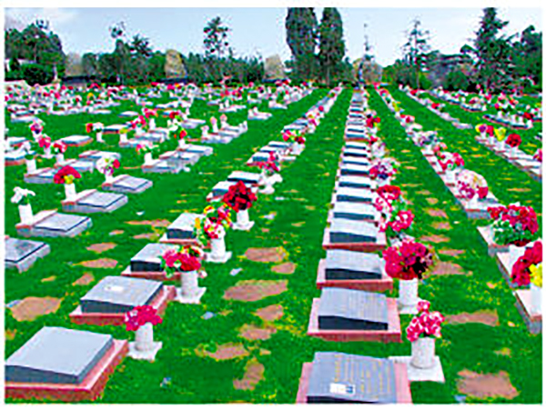 昆明市人民政府關於推行移風易俗促進文明殯葬若干規定