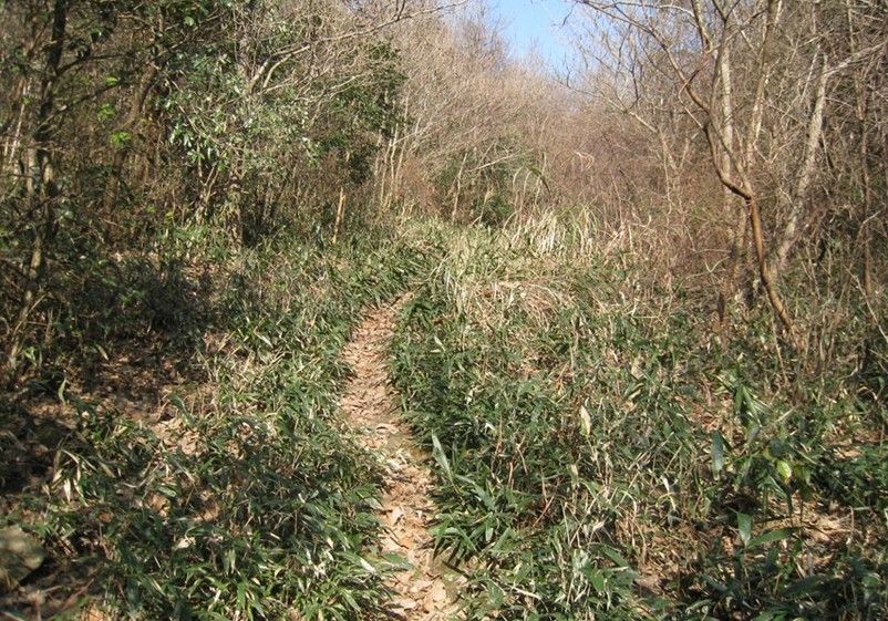 天打岩古道 天打岩古道