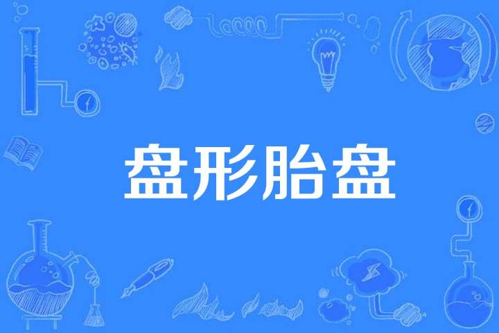 盤形胎盤 盤形胎盤